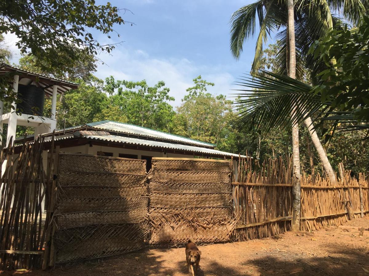 Cashew Villa Hiriketiya Dikwella Exteriör bild