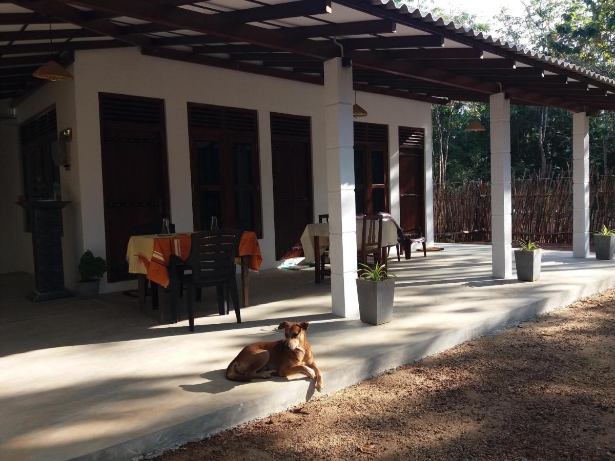 Cashew Villa Hiriketiya Dikwella Exteriör bild