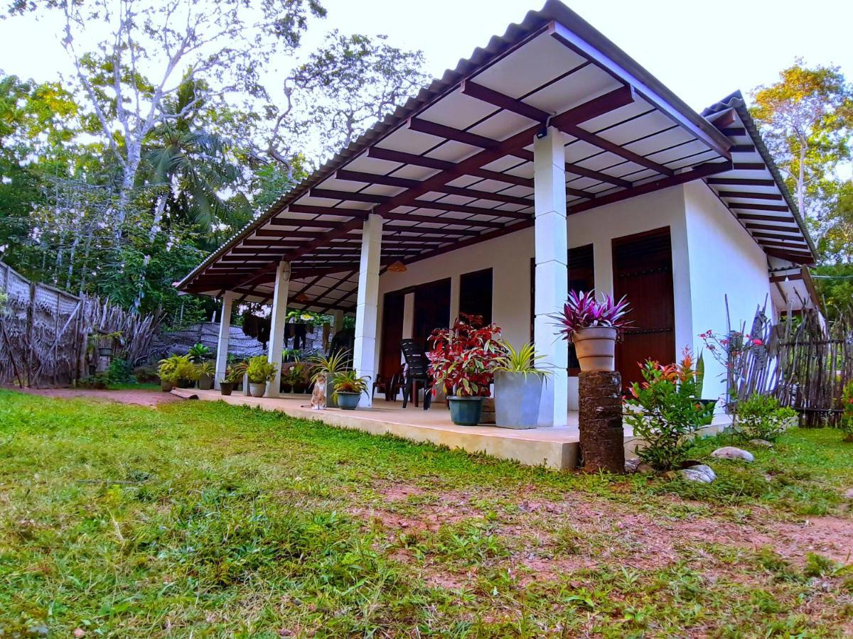 Cashew Villa Hiriketiya Dikwella Exteriör bild