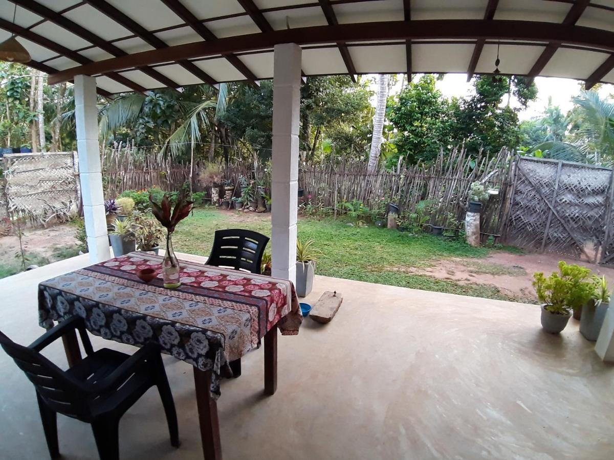 Cashew Villa Hiriketiya Dikwella Exteriör bild
