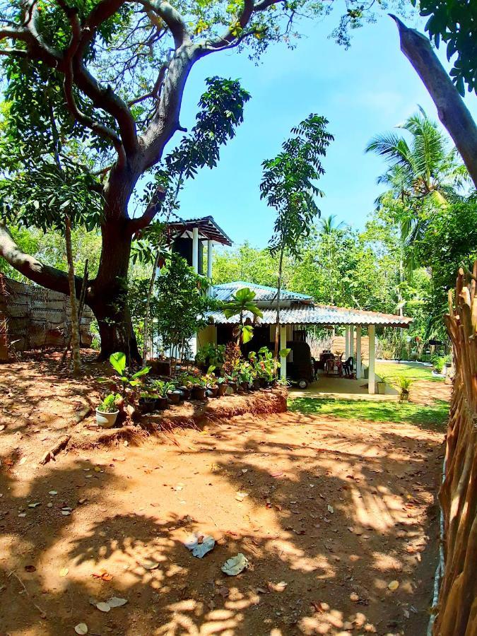 Cashew Villa Hiriketiya Dikwella Exteriör bild